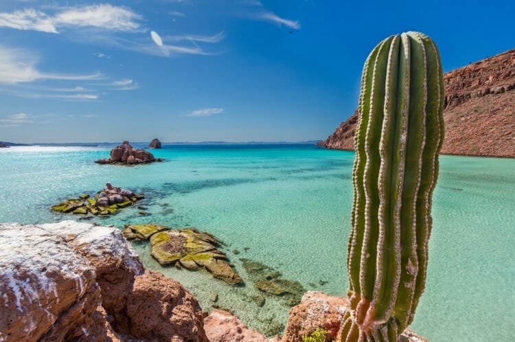 Baja California